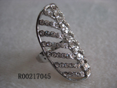 R00217045