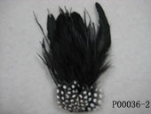 P00036-2