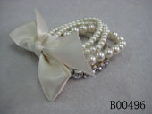 B00496
