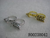 R00238042