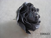 E00433