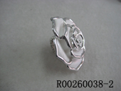 R00260038-2