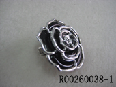 R00260038-1