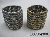 B00504300