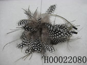 H00022080